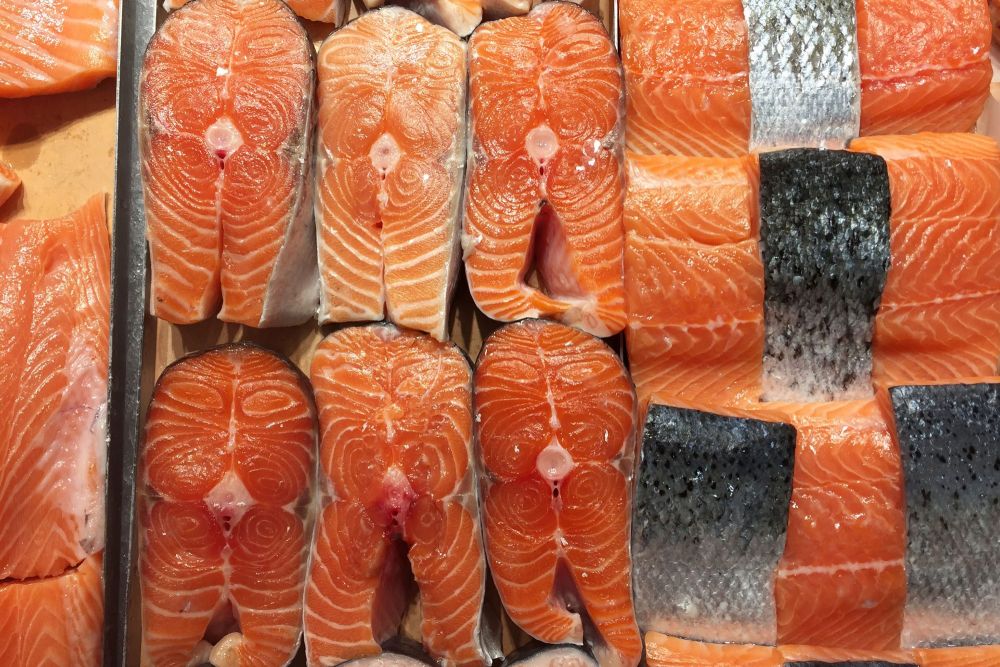 6 Jenis Ikan Salmon Yang Paling Populer Di Dunia Tahu Perbedaannya