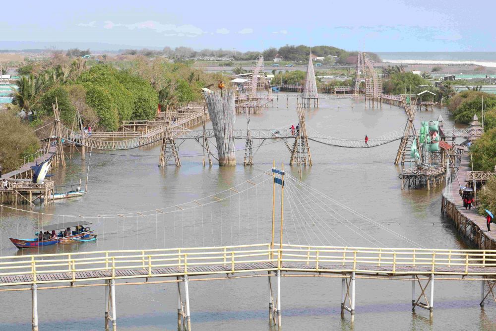 90 Persen Hutan Mangrove di Pantura Rusak, DLH Ingatkan Bahaya Abrasi