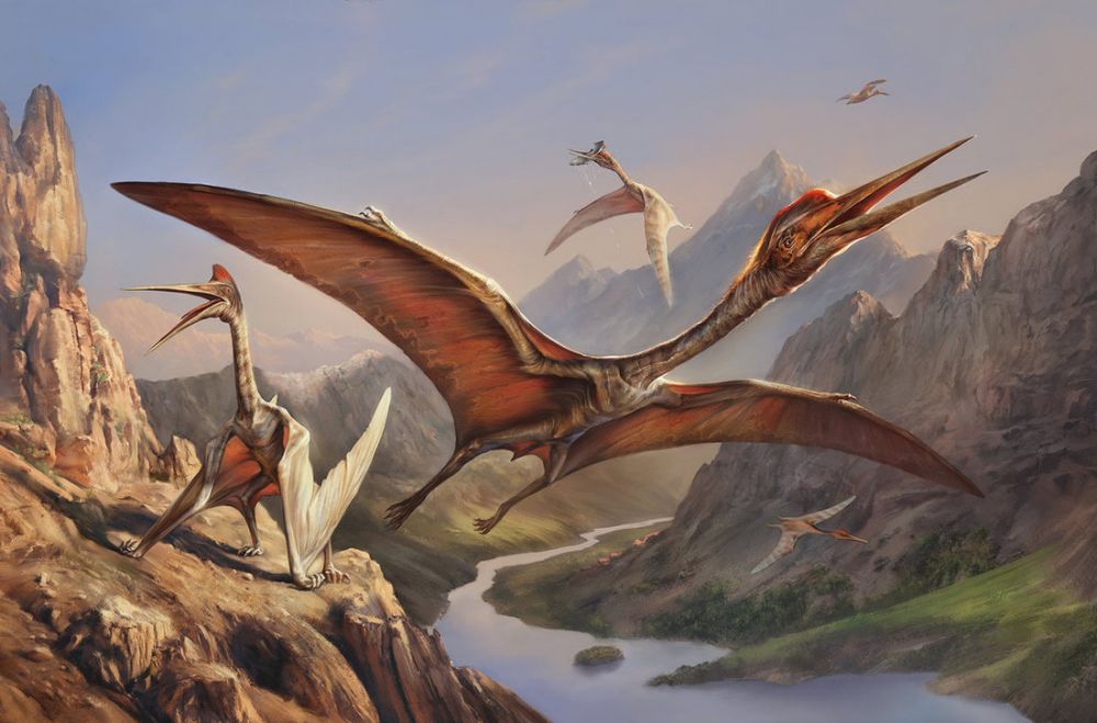 5 Fakta Quetzalcoatlus Northropi, Binatang Terbang Terbesar di Bumi.