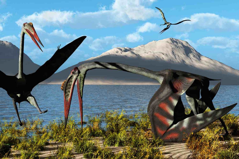 5 Fakta Quetzalcoatlus northropi Binatang  Terbang  