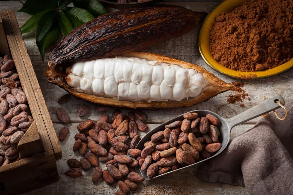 Satu Ton Biji Kakao Organik asal Jembrana Bali Akan Diekspor ke Jepang