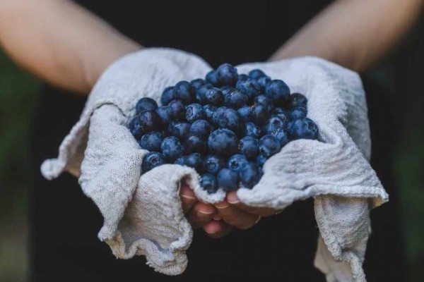 Rajanya Antioksidan! 7 Manfaat Sehat Blueberry Ini Amat Menggiurkan