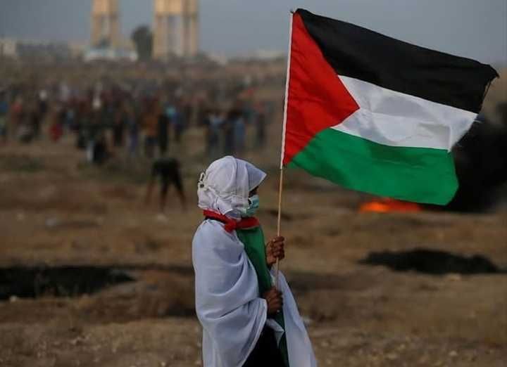 Unila Gelar Webinar Dukung Palestina, Ini Kata Duta Besar Palestina