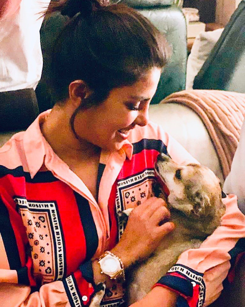 Gemas! 9 Potret Akrab Priyanka Chopra dan Diana, Anjing Kesayangannya