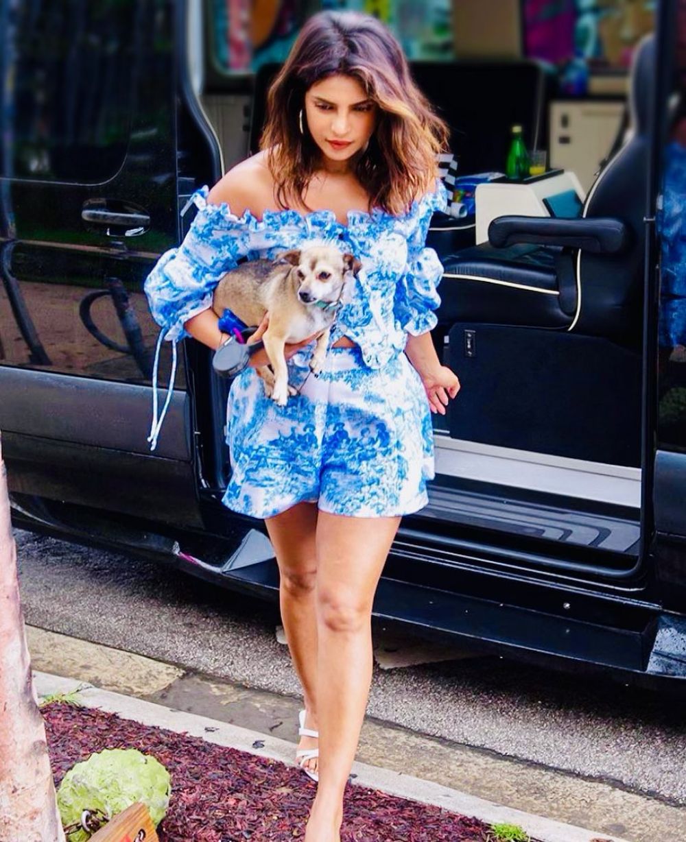 Gemas! 9 Potret Akrab Priyanka Chopra dan Diana, Anjing Kesayangannya