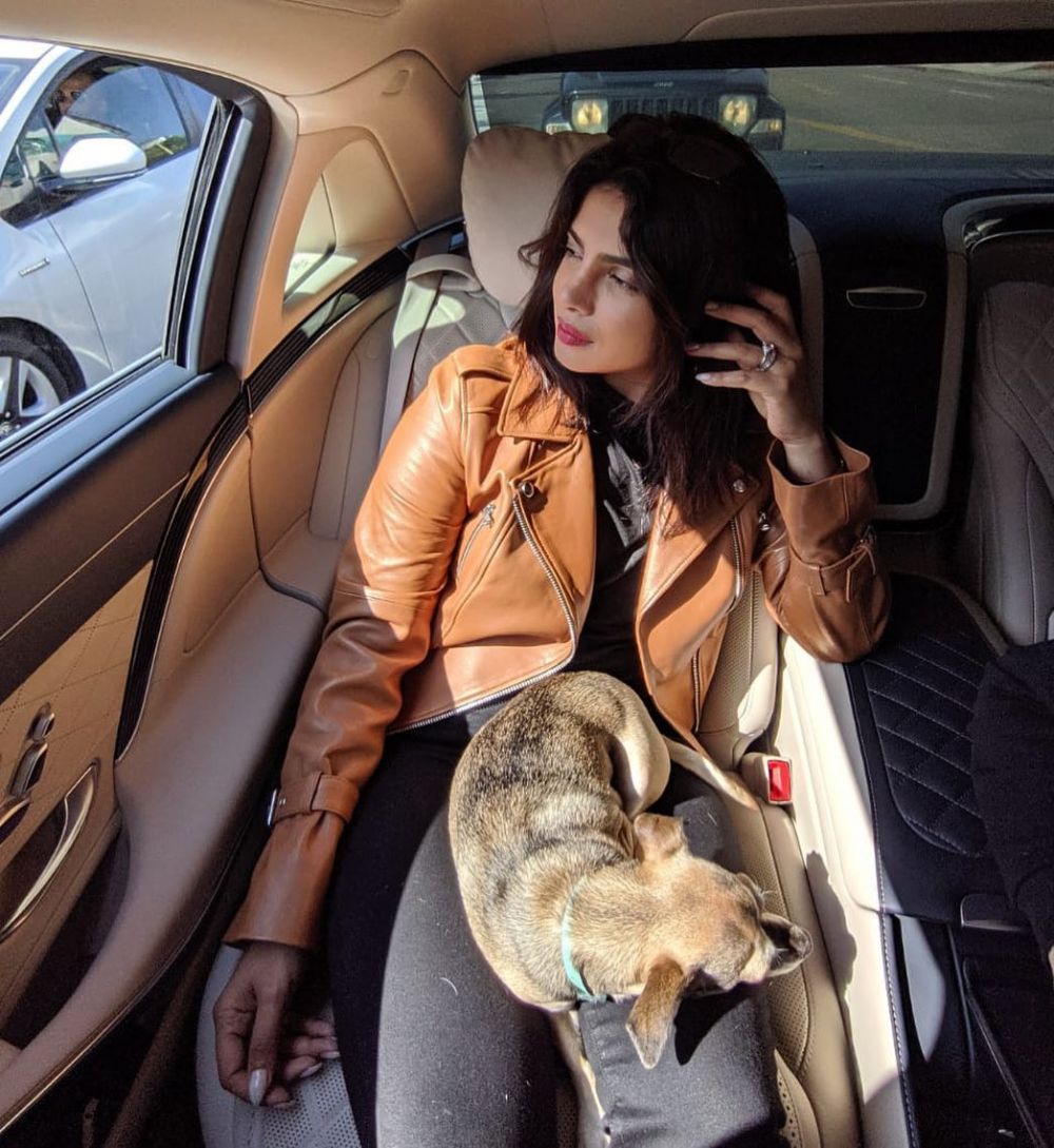 Gemas! 9 Potret Akrab Priyanka Chopra dan Diana, Anjing Kesayangannya
