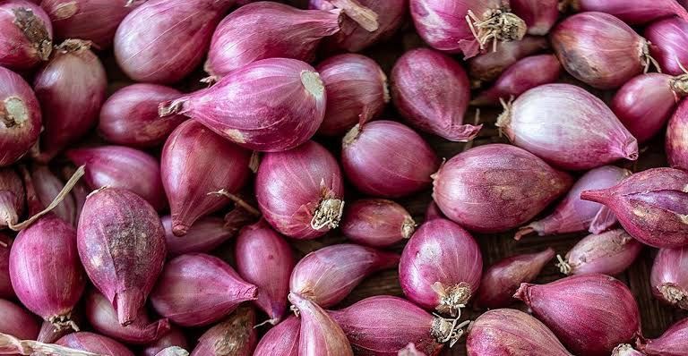 5 Cara Menanam Bawang Merah Dengan Mudah