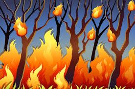 Ancaman COVID-19 Belum Selesai, Kebakaran Hutan Mengintai