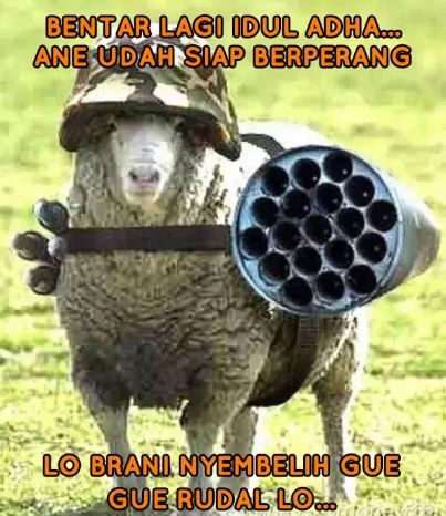 10 Meme Kocak Soal Kurban di Idul Adha, Bikin Tertawa Cekikikan