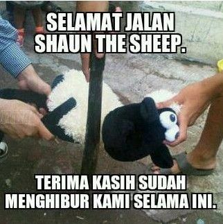 10 Meme Kocak Soal Kurban di Idul Adha, Bikin Tertawa Cekikikan