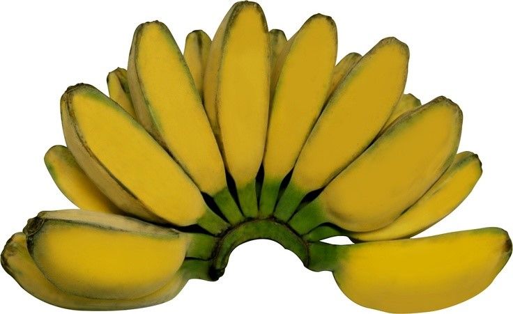 7 Jenis Pisang Yang Populer Di Indonesia Kenali Perbedaannya