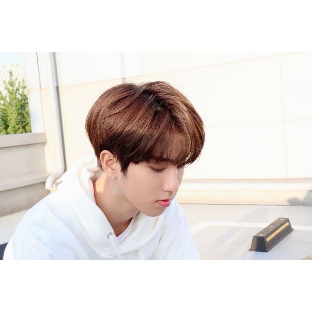 12 Fakta Han Stray Kids dari Pelajar Biasa hingga Menjadi Idol KPop