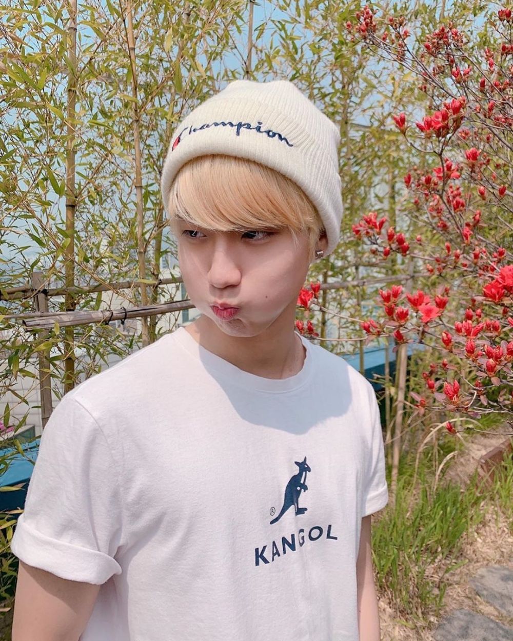 12 Fakta Han Stray Kids dari Pelajar Biasa hingga Menjadi Idol KPop