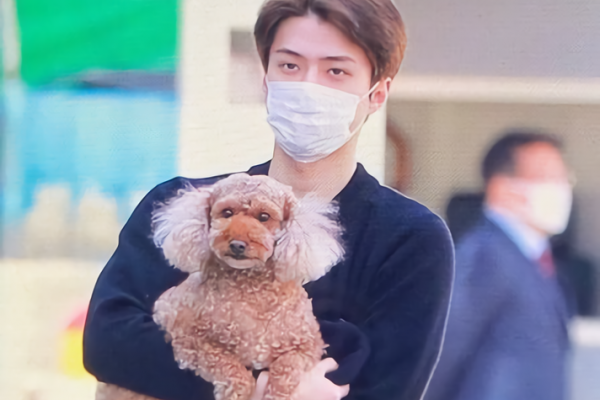 10 Fakta Monsieur, Anjing Kedua Sehun EXO yang Menggemaskan!