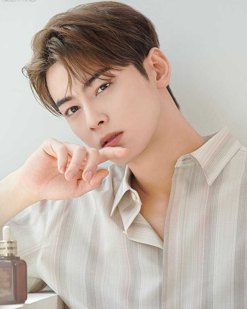 Tak Hanya Modal Visual Ini 12 Fakta Menarik Cha Eunwoo ASTRO