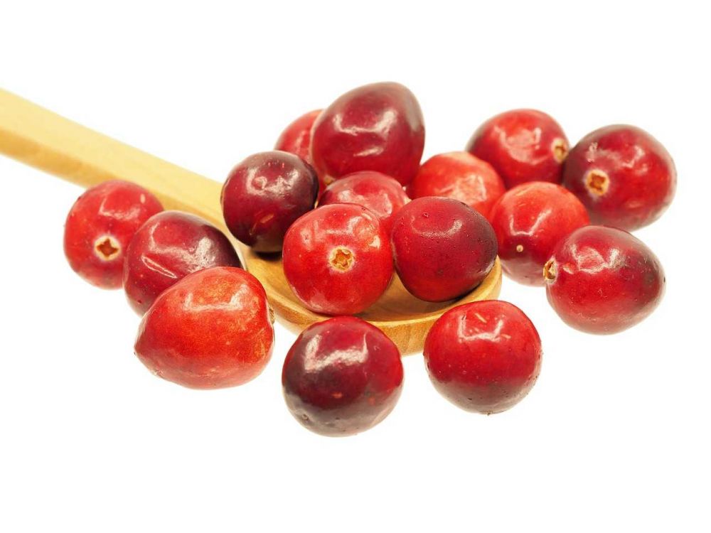  5 Deretan Manfaat Sehat dari Buah Cranberry