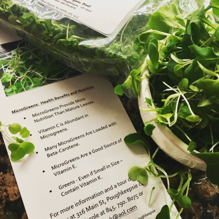 Keunggulan Microgreens Dibanding Sayuran Dewasa