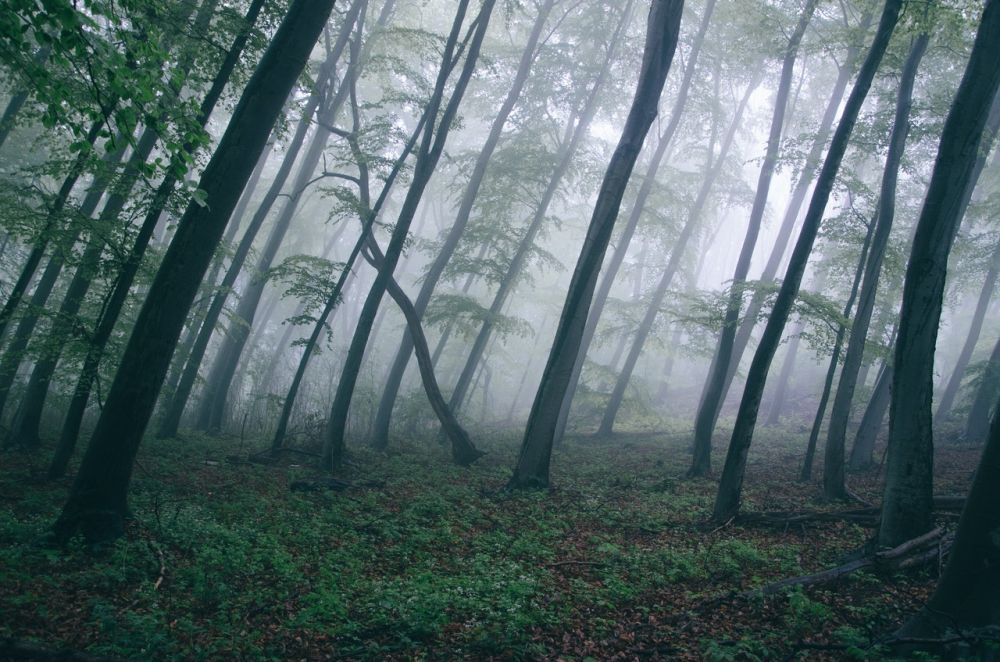 9 Etika yang Tidak Boleh Dilanggar Ketika Mendaki Gunung, Catat Ya!