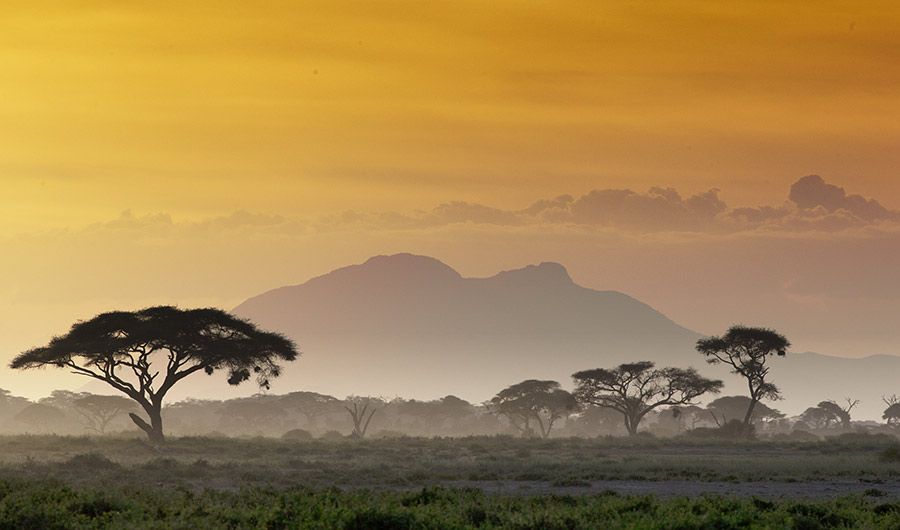 Fakta Unik Alam Afrika Benua yang Menakjubkan