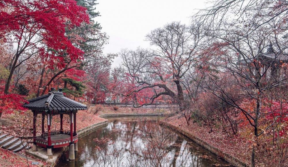 5 Istana Kuno yang Wajib Dikunjungi di Seoul, Korea Selatan  