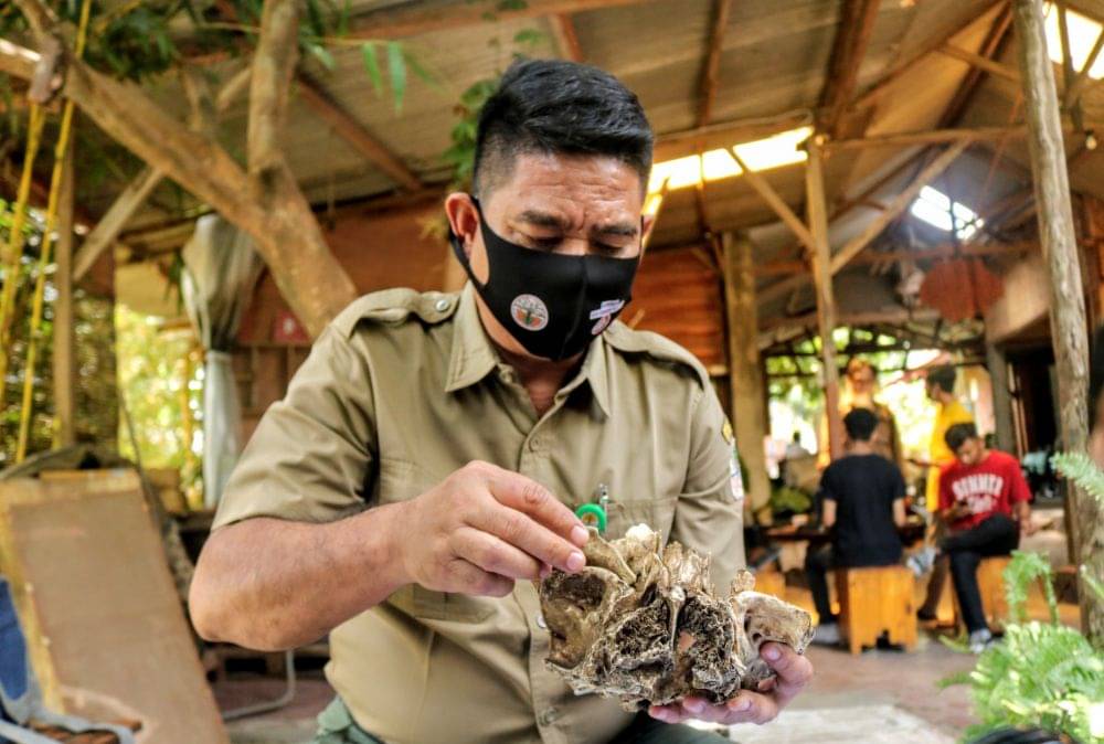 Konservasi: Pengertian, Jenis, Tujuan Sampai Manfaat