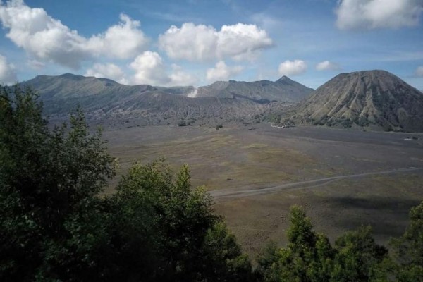 Disbudpar Jatim Terima Laporan Wisatawan Mancanegara Plesiran ke Bromo