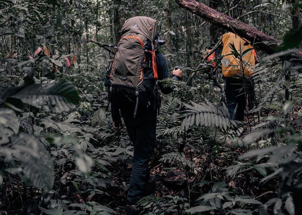 6 Aktivitas Wisata yang Bisa Kamu Lakukan di Pulau Sempu Malang