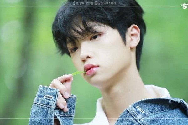 Son Dongpyo, Fake Maknae Eks X1 yang Tengah Berulang Tahun Ke-18
