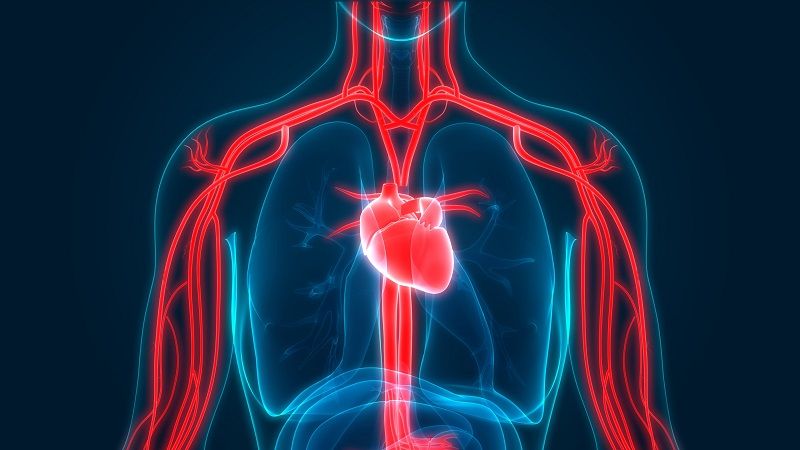 Mendeteksi Kanker Pijat Payudara untuk Perempuan