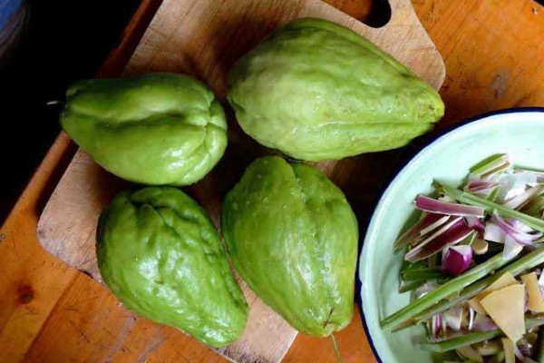 5 Tips Cermat Membersihkan Labu Siam dari Getah yang Membandel, Mudah!