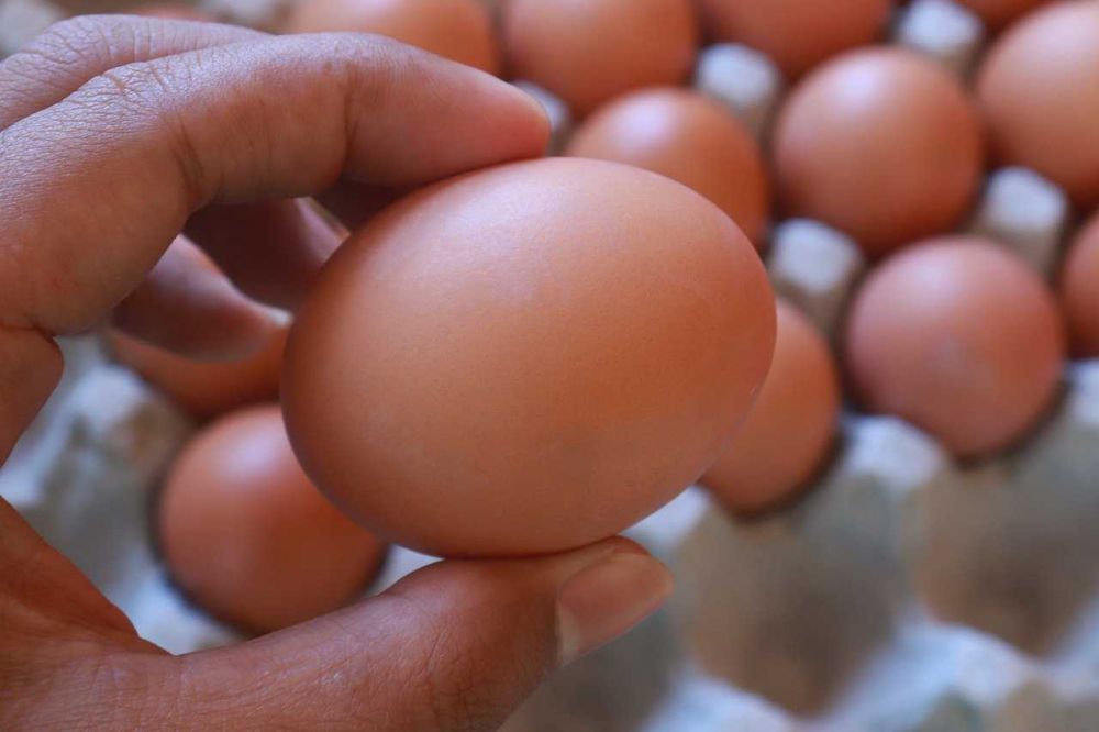 Resep Opor Telur Galantin untuk Pendamping Ketupat saat Lebaran, Jos!