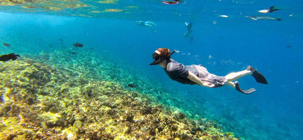 5 Tips Jitu Snorkeling yang Perlu Diterapkan Pemula, Jangan Gegabah!