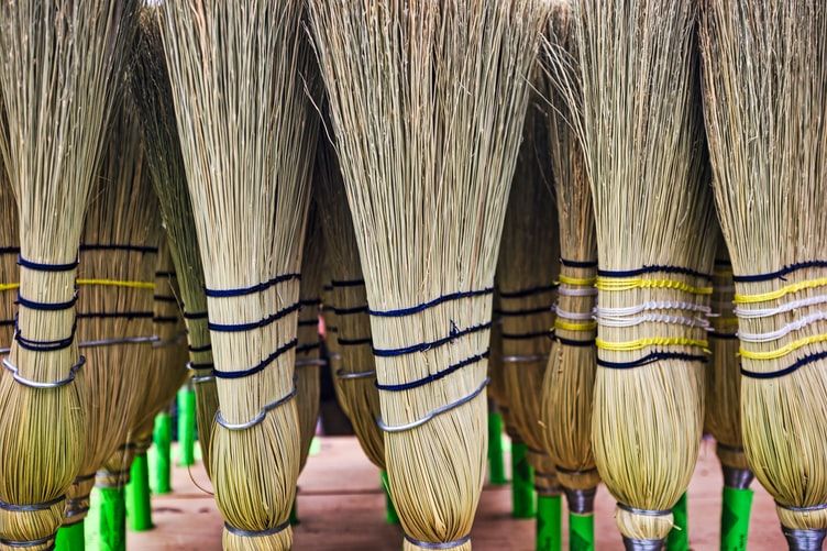 5 Cara Mengusir Kucing dengan Halus, Jangan Pakai Kekerasan!