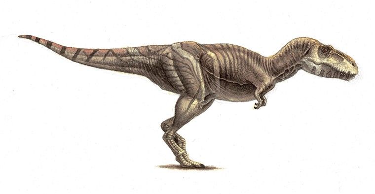 5 Kerabat Dinosaurus Tyrannosaurus Rex, Tak Kalah Seram!