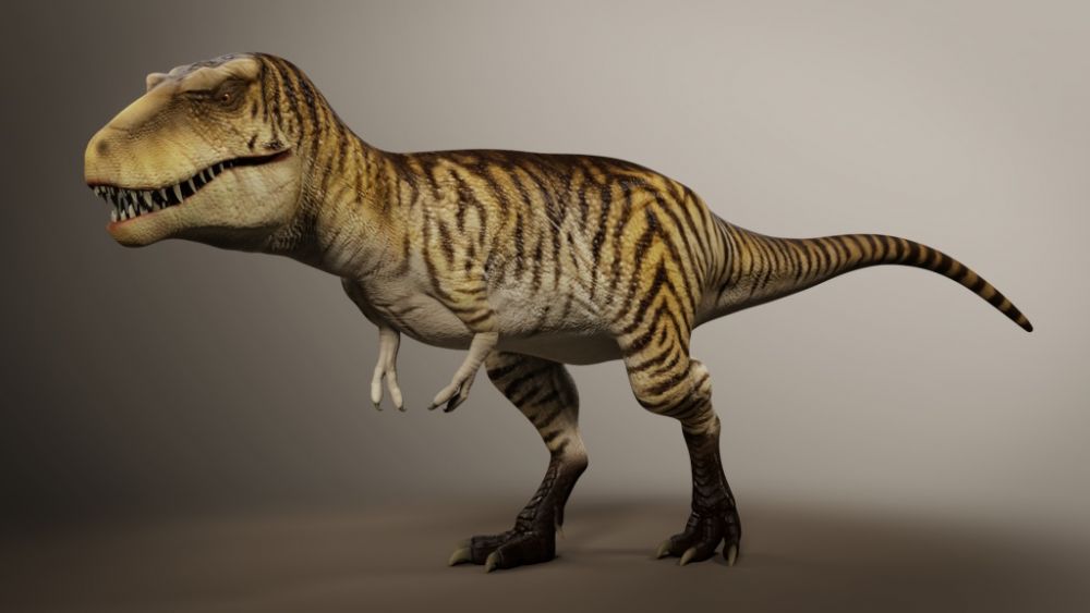 5 Kerabat Dinosaurus Tyranosus Rex, Tidak Perlu Takut!