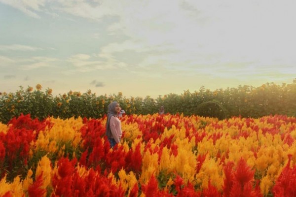 7 Destinasi Wisata dengan Vibes Luar Negeri yang Ada di Yogyakarta