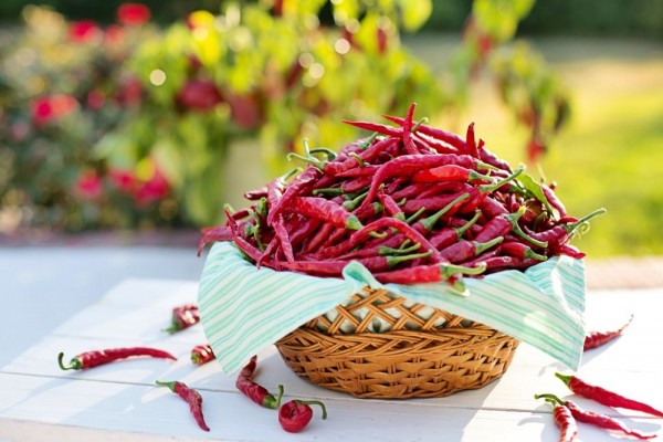 Masuk Musim Hujan, Harga Cabai Merah di Kota Bandung Makin Pedas!