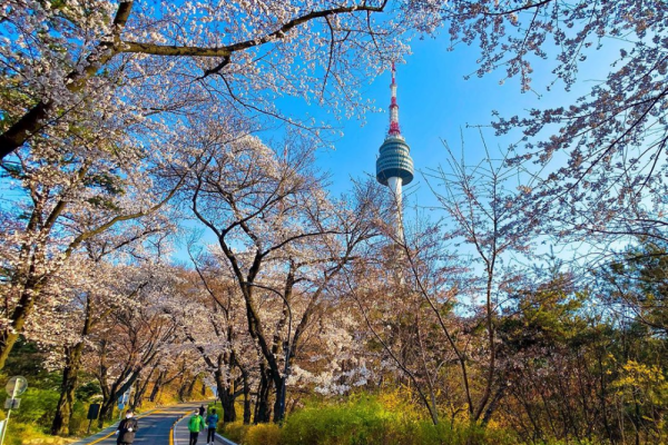 Tempat Melepas Penat Kunjungi 5 Taman Di Seoul Korea Selatan Ini