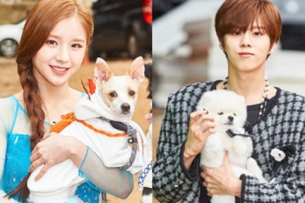 11 Potret Menggemaskan Idola KPop Boyong Anjing Peliharaan di ISAC