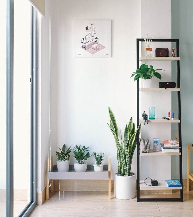 10 Ide Dekorasi  Ruangan  dengan Tanaman Hijau  Bikin Adem 