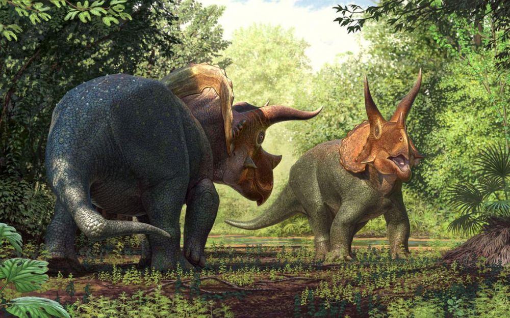 6 dinosaurus dengan bentuk kepala yang unik, beberapa dengan jambul