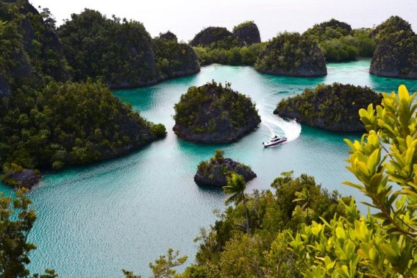 5 Ide Aktivitas Menarik yang Wajib Kamu Coba di Raja Ampat, Seru!