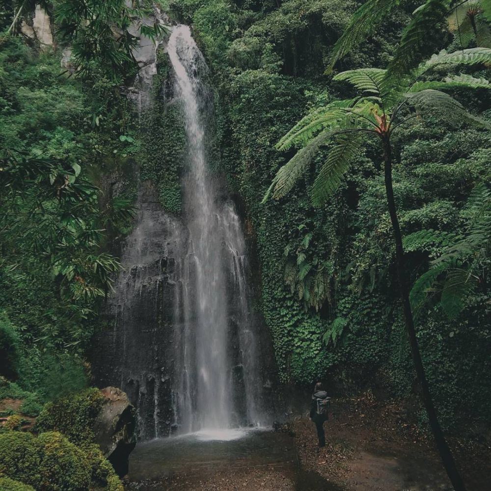 Seger, 9 Air Terjun di Lumajang Ini Wajib Banget Dikunjungi