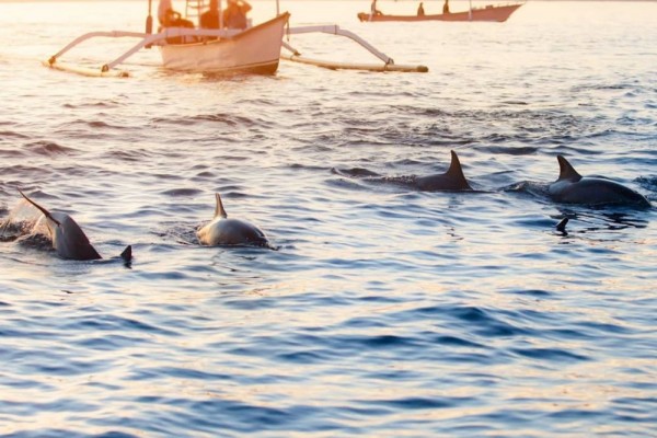 5 Rekomendasi Spot Snorkeling Terbaik di Bali, Banyak Biota Laut Lho