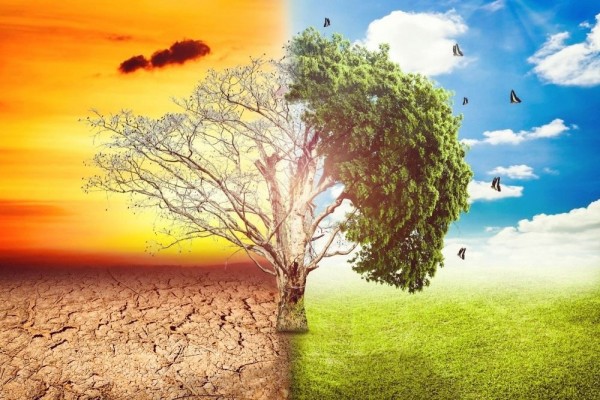 Bisa Mengancam Kehidupan 5 Bukti Perubahan Iklim Yang Terjadi Di Bumi