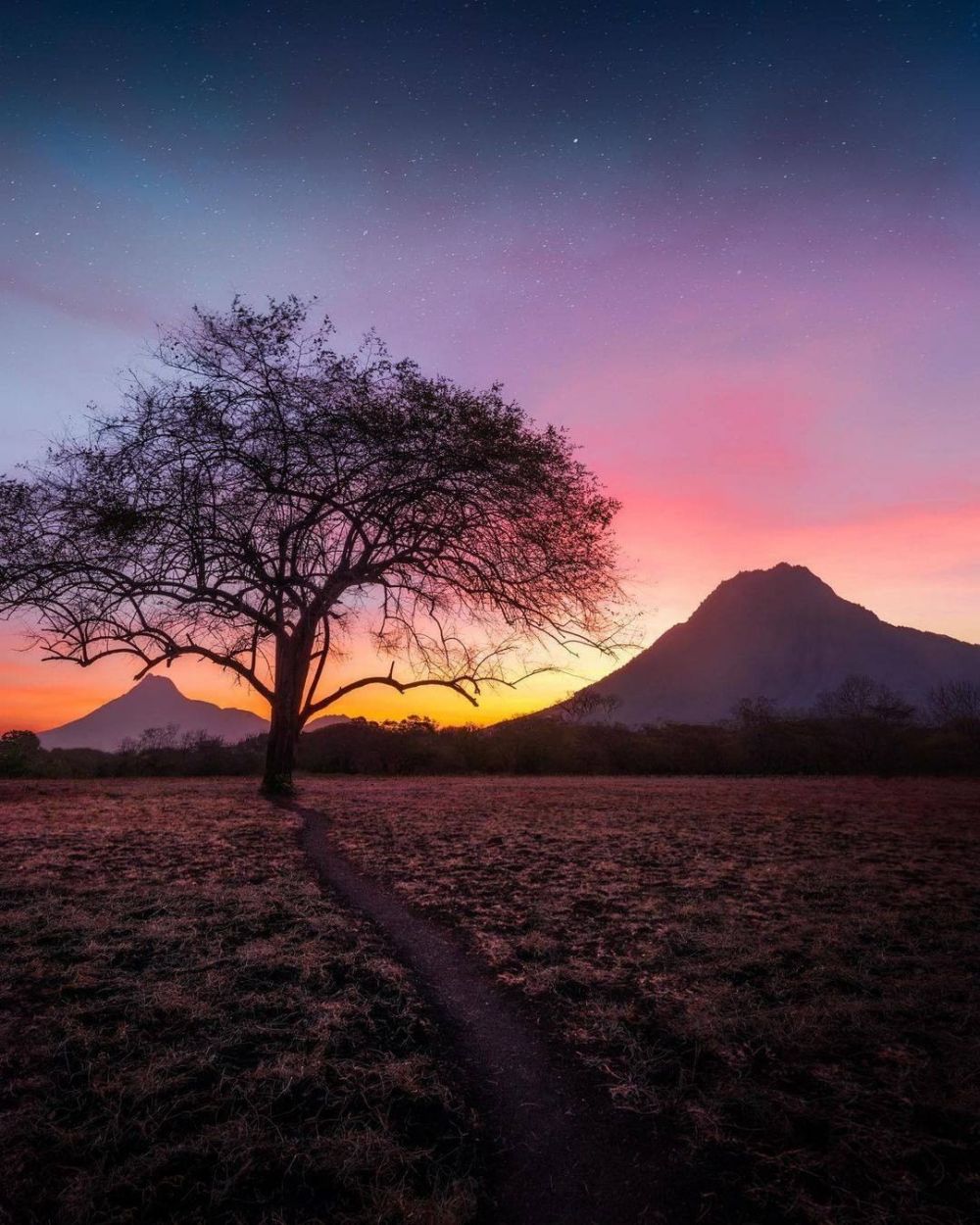 Tips Berlibur ke Taman Nasional Baluran, Rute dan Tiket Masuk