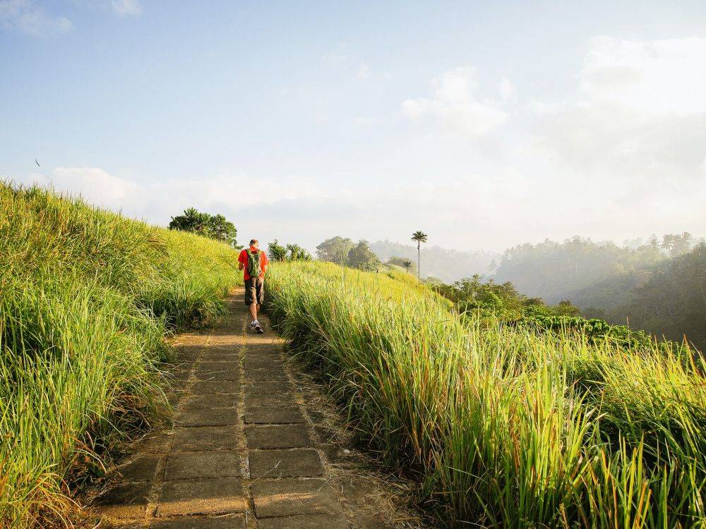 5 Rekomendasi Wisata Alam  di Bali yang Bisa buat Pikiranmu 