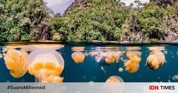 5 Spot Yang Enggak Boleh Dilewatkan Kalau Mau Menyelam Di Raja Ampat