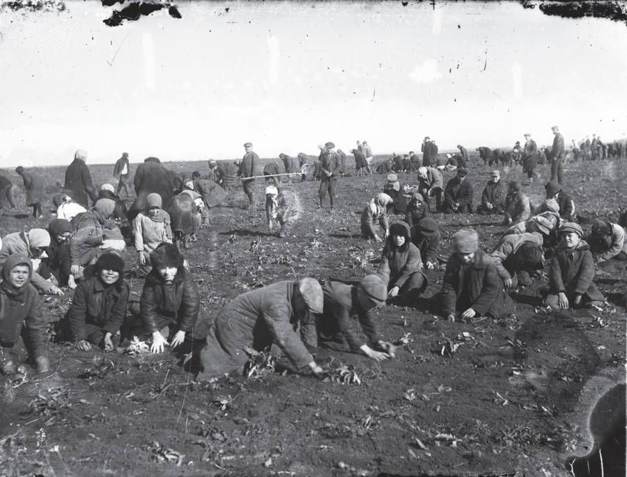 6 Fakta Tentang Holodomor, Genosida Uni Soviet