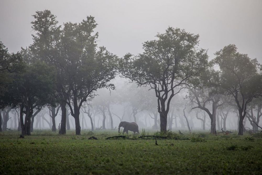 Menarik Banget, 10 Tempat Wisata di Zambia Ini Wajib Masuk Bucket List